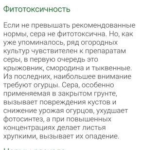 Фитотоксичность: что нужно знать каждому садоводу