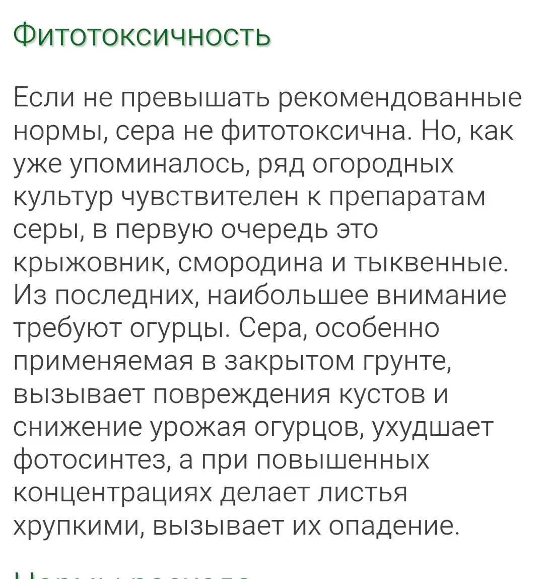 Фитотоксичность: что нужно знать каждому садоводу