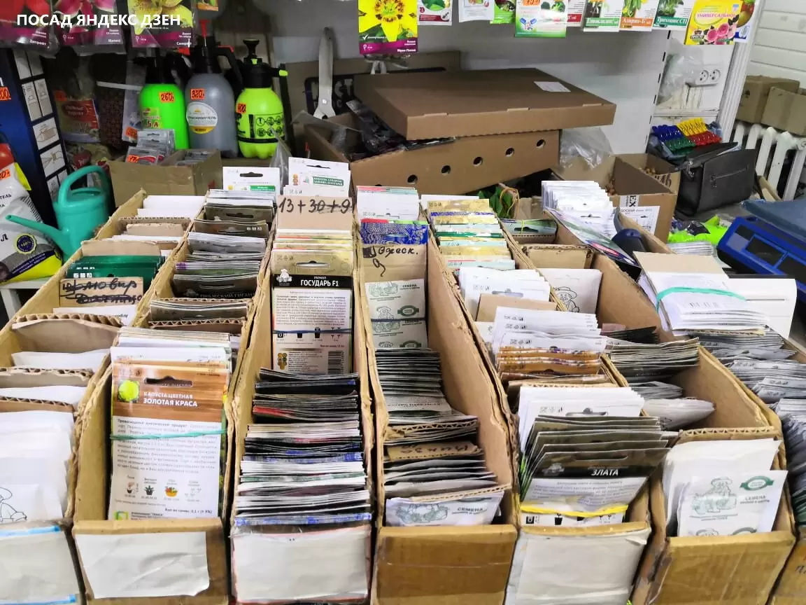 Как маленький сельский магазин может стать вашим лучшим союзником в выборе семян