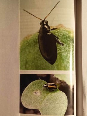 ������������� ������: ��� �������� ���� �������� �� �������� ����������