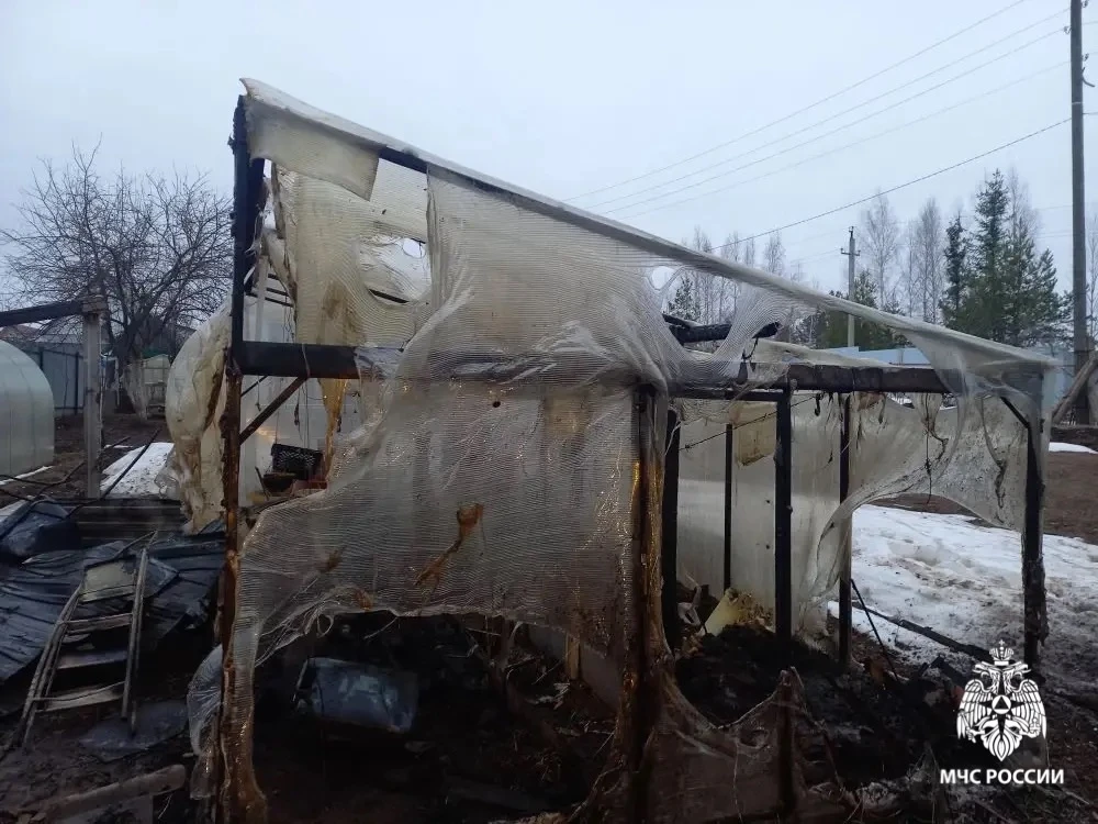 Зола оставленная в дровянике чуть не лишила дома жительницу Удмуртии Зола оставленная в дровянике чуть не лишила дома жительницу Удмуртии