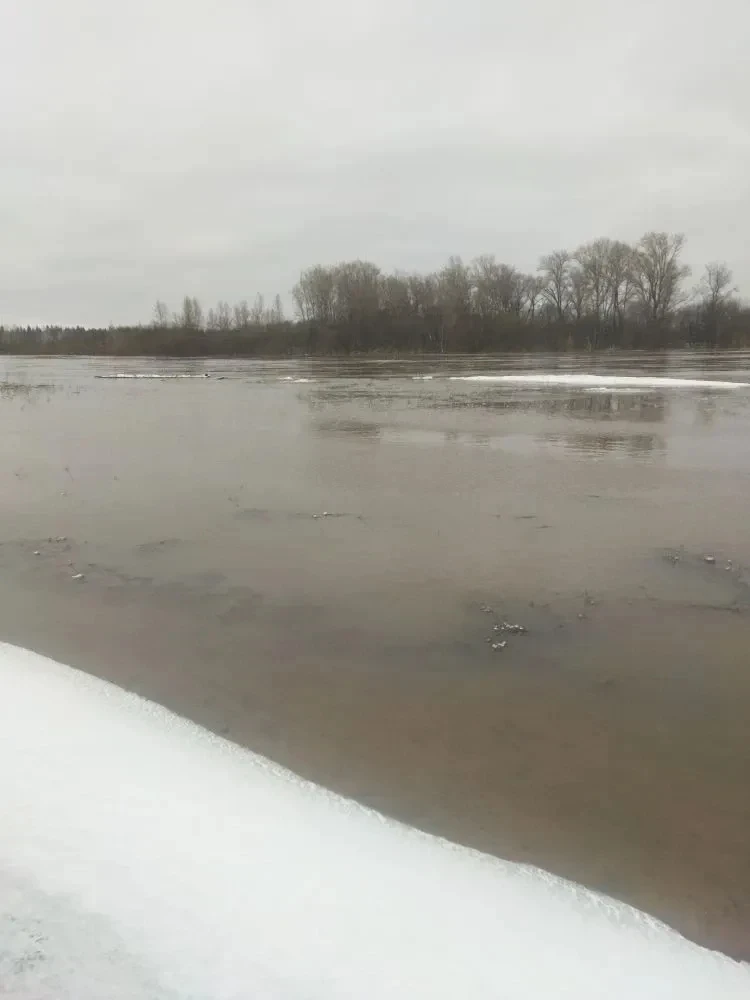 58 подворий под водой: паводок в Удмуртии отступает