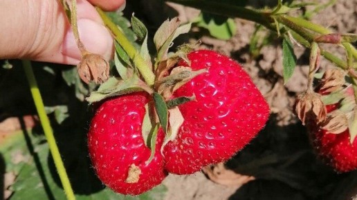 ��������� �������� ����� ��������: ������� �������� ������