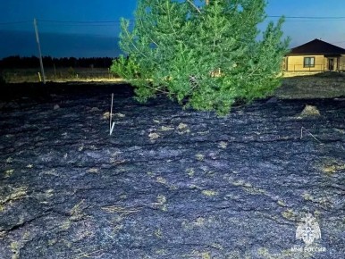 Первый в сезоне ландшафтный пожар потушили в Удмуртии