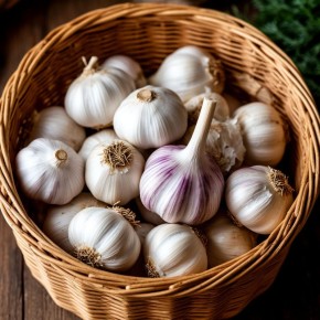 ׸����� ��� � ������� ������� � ��� ������������ ���