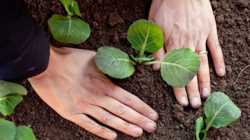 ����� ������ � ����������� �������: ������� ������� �����������