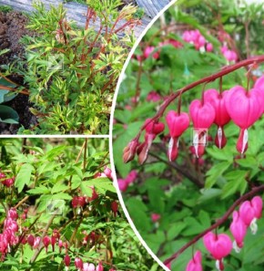 �������� ������������: ������� ��������� ����� � ��������