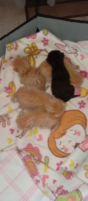 ���, ��� �� �������. ��� ����������� � ����� ������� � ���������� ���������