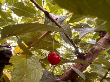 �������� ��������: ��� ������ ��� ������ �� ������ � �������