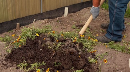 ��������: �� ������������ ������ �� ����������� ���������� � �������