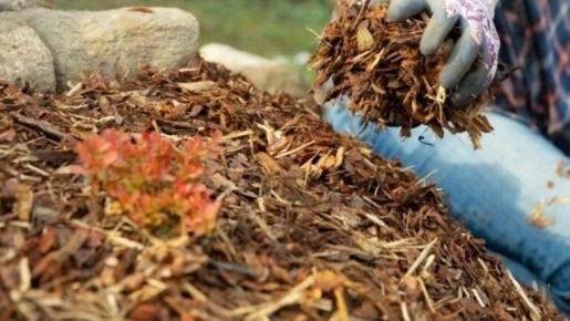 ����������� ������: ��� ��� ��������� �������� ������ � ���������� ����� � �������