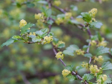 ��� ������� ���������� ��������� ����� � ��������� ������