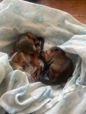 ����������� ������� ������� ����� � ����� ������ � �������