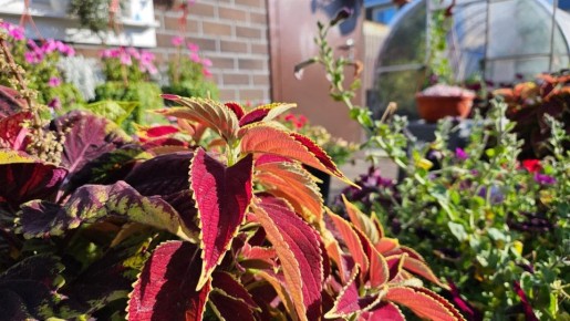 ������� ������� ��� �����: ��� �� ����� ������������ �� ����