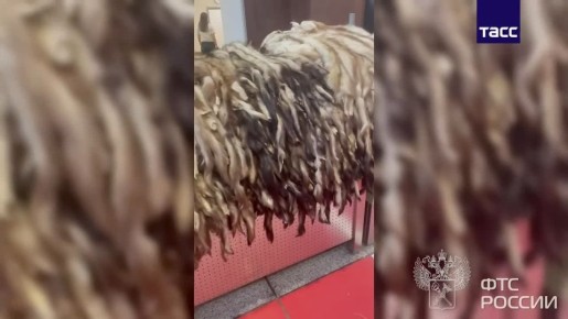 ����-������� ������ ���� ������� �������� ����������, ������ �� ������� ���� ������ ����� 300 ������, �������� ��� �������