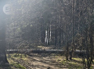 � �������� �� ��������� �� �������� ����� ���������� 42 ���������������� ����