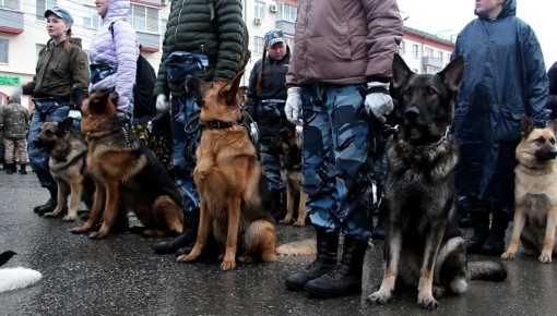 � 2026 ���� � ������ ������ (0+) � ������� �� ����� ����������� ������ ��������� � ��������