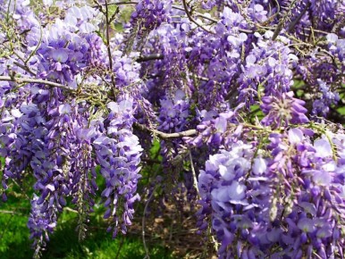 ��� ������� ��������� ���: ������ �������� ��� �������