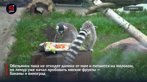 � ������ 2026 ���� � �������� �������� �������� ��� ���������, ������� � ���� ������