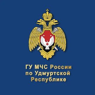 Огнеборцы Удмуртии работают на пожаре в Вавожском районе