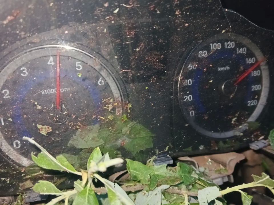 Смертельное ДТП в Завьяловском районе Удмуртии Смертельное ДТП в Завьяловском районе Удмуртии
