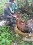 � ���������� ������ ��������� ������� �������� �� ���������� ������� �� �������