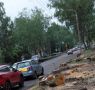 Жительница Ижевска пожаловалась на вырубку деревьев вдоль домов №143 и №147 по улице Воровского