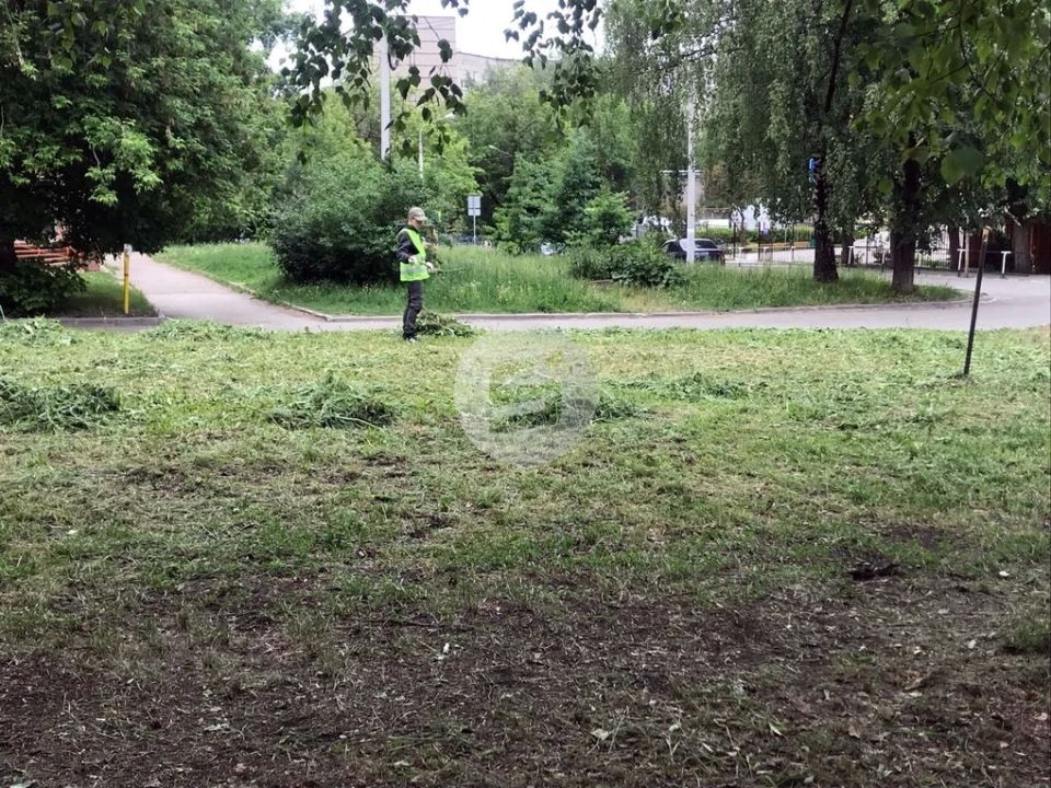 Облачная погода прогнозируется в Удмуртии во вторник, 2 июня