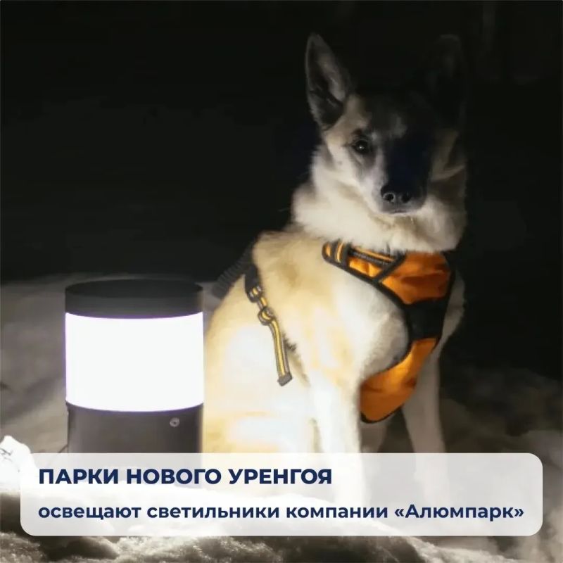Александр Бречалов: На этой неделе мы отмечали День России, и в итогах - совсем немного о том, что делают наши небольшие предприятия для объектов в разных регионах нашей большой страны Александр Бречалов: На этой неделе мы отмечали День России, и в итогах - совсем немного о том, что делают наши небольшие предприятия для объектов в разных регионах нашей большой страны