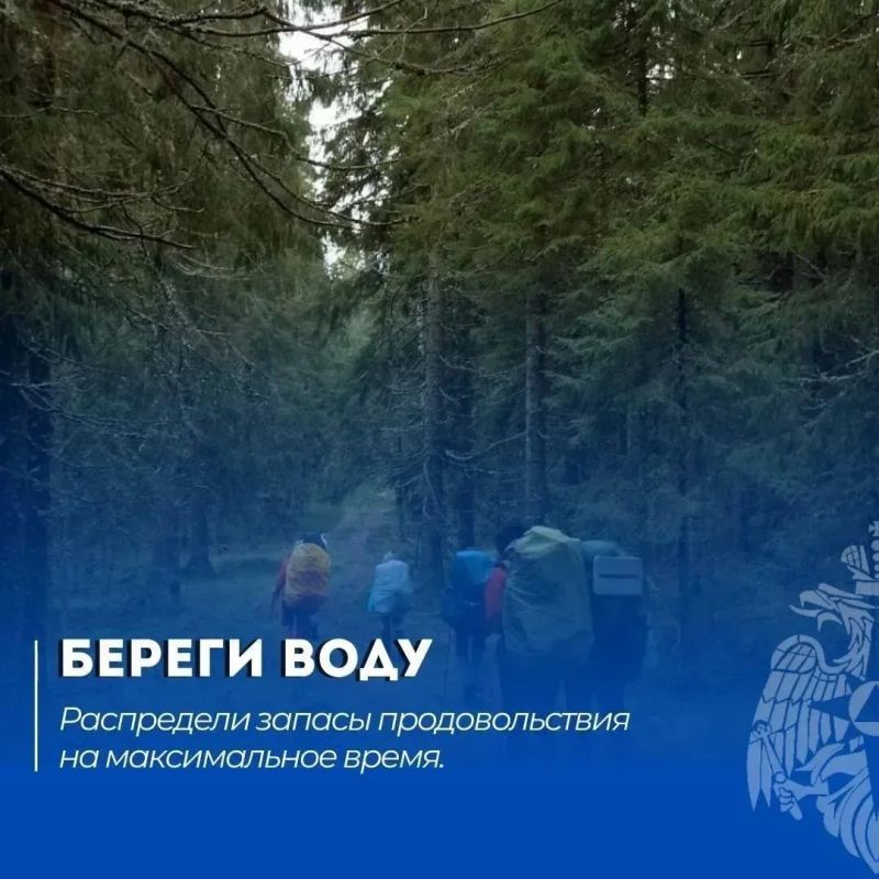 Потерялся в лесу? Запомни эти 5 правил Потерялся в лесу? Запомни эти 5 правил