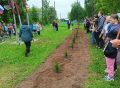 12 туй высадили в память о погибших на СВО земляках в Кезском районе