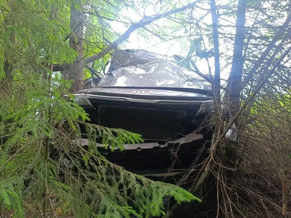 15 июня 2026 года, около 17 часов 30 минут, на 31-м километре автодороги «Балезино-Сергино» на территории Балезинского района Удмуртии, водитель автомобиля «Киа Селтос» - 37 – летняя женщина, по предварительной информации, в... 15 июня 2026 года, около 17 часов 30 минут, на 31-м километре автодороги «Балезино-Сергино» на территории Балезинского района Удмуртии, водитель автомобиля «Киа Селтос» - 37 – летняя женщина, по предварительной информации, в...