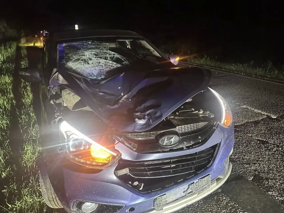 Пешеход погиб в Можгинском районе Удмуртии