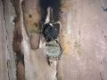 Водитель Государственной противопожарной службы Комитета по делам ГО и ЧС Удмуртии вместе с сыном потушили пожар в Каракулинском районе