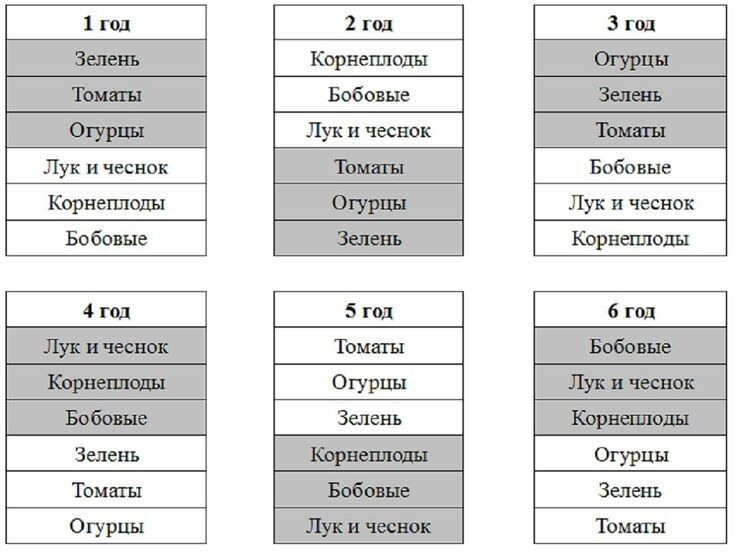 Как правильно планировать севооборот: секреты успешного урожая весной