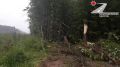 16 – летняя девушка – пассажир погибла в результате ДТП в Малопургинском районе
