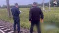 В Удмуртии под колесами грузового поезда погиб 40-летний мужчина