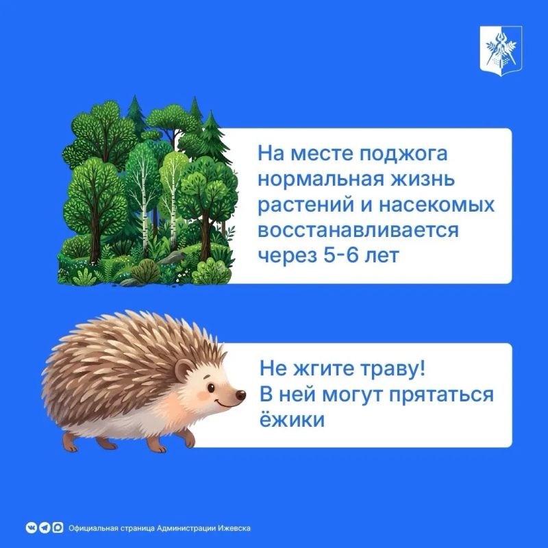 Летние каникулы в самом разгаре, и школьники проводят много времени на улице Летние каникулы в самом разгаре, и школьники проводят много времени на улице