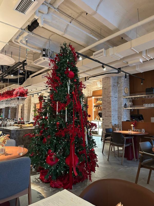 Красота и вкус Ava Bistro: уют, сервис и повторная притягательность