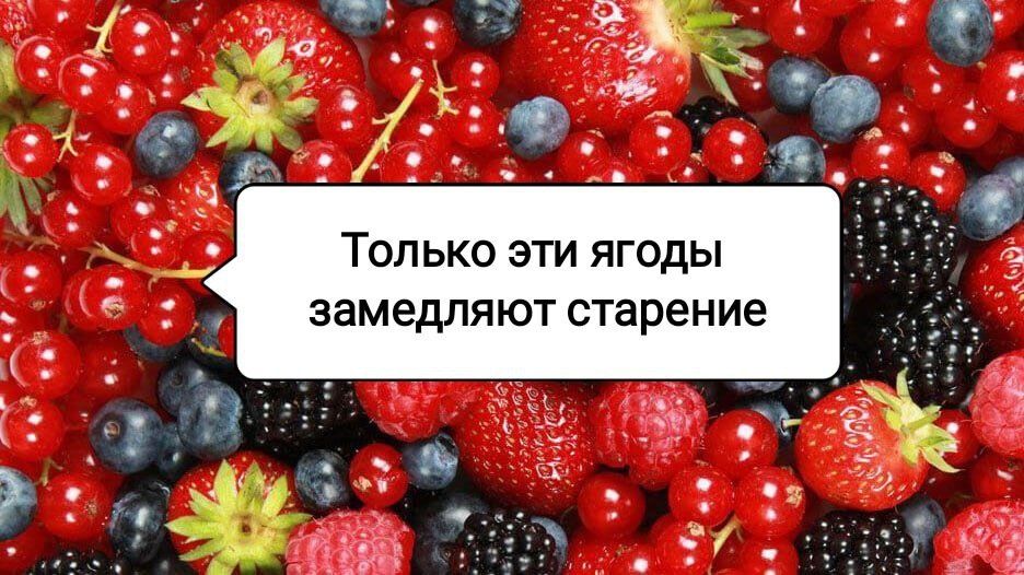 Ягоды, сохраняющие молодость
