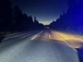Наезд на лося в Завьяловском районе: пострадала девушка - пассажир