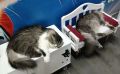 � ������� ����������� ��������������� �� �������� ����� � �� ����� ������� �� ���������� �������� �� ������ � ���������