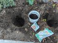 Эффективная подготовка огорода осенью: простые советы