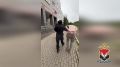 В Ижевске полицейскими задержана пара сожителей за онлайн-трансляции порнографического контента