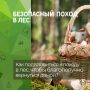 Чтобы поход в лес был безопасным, важно заранее подготовиться, соблюдать правила поведения и быть готовым к действиям в случае непредвиденных ситуаций.