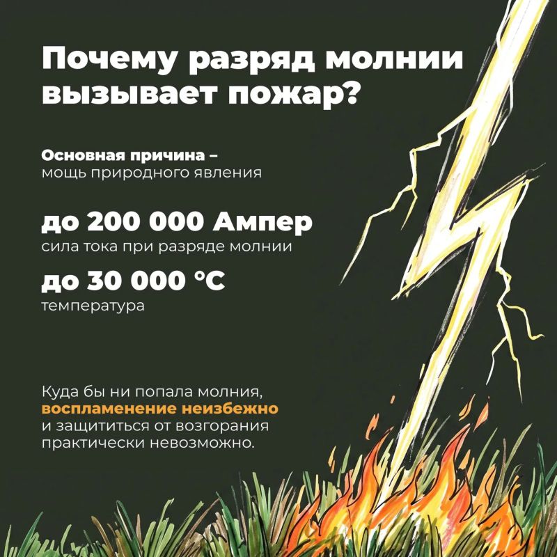 Молния не выбирает, куда ударить Молния не выбирает, куда ударить