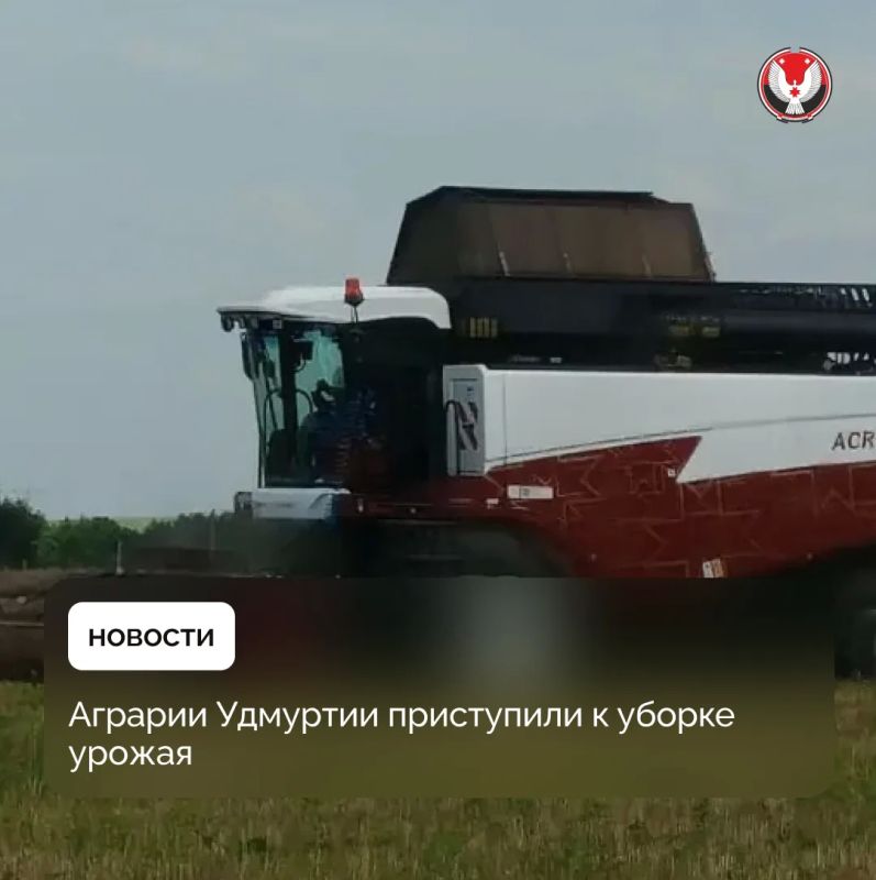 Начинаем убирать урожай.. В поля уже вышли: в Сарапульском районе – сельхозпредприятие «Русская Нива» обмолотило 20 гектаров озимого рапса