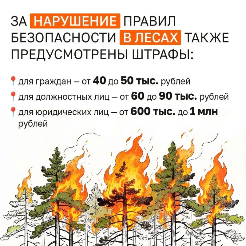 На то, как горит огонь, можно смотреть бесконечно, но… На то, как горит огонь, можно смотреть бесконечно, но…
