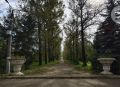 В сквере Титова в Ижевске выровняют брусчатку
