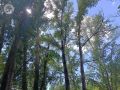 В понедельник в Удмуртии столбик термометра поднимется до +31…+36 градусов по Цельсию.